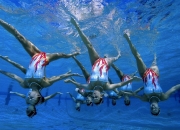 苏炳添刷新里程碑，纽约尼克斯半决赛力克AC米兰，晋级概率达68％的简单介绍