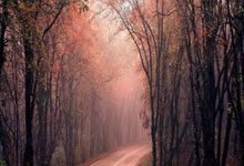 湖南队在比赛中展现出实力，实现大逆转的简单介绍