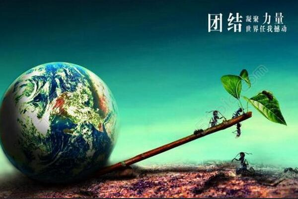 Ning新星晋级下一阶段表现突出，中国队前途光明！